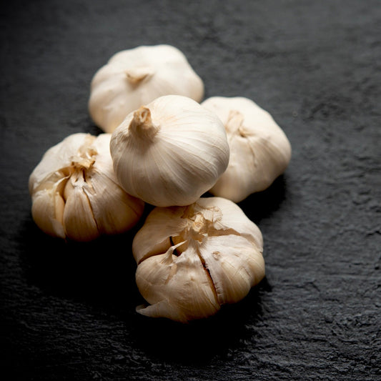 Garlic