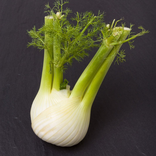 Fennel